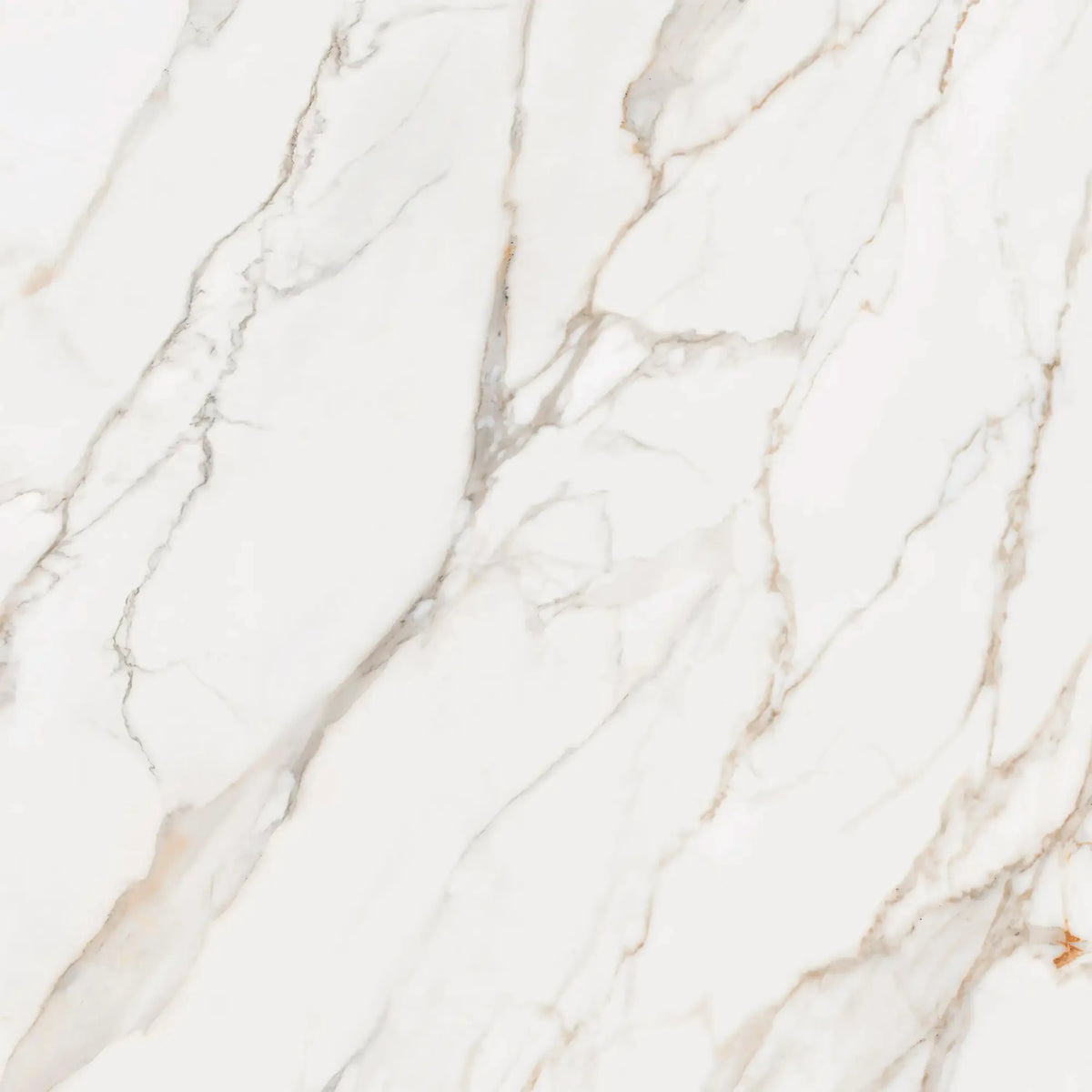 Architectural Surface Porcelain Oriana Polished or Mate