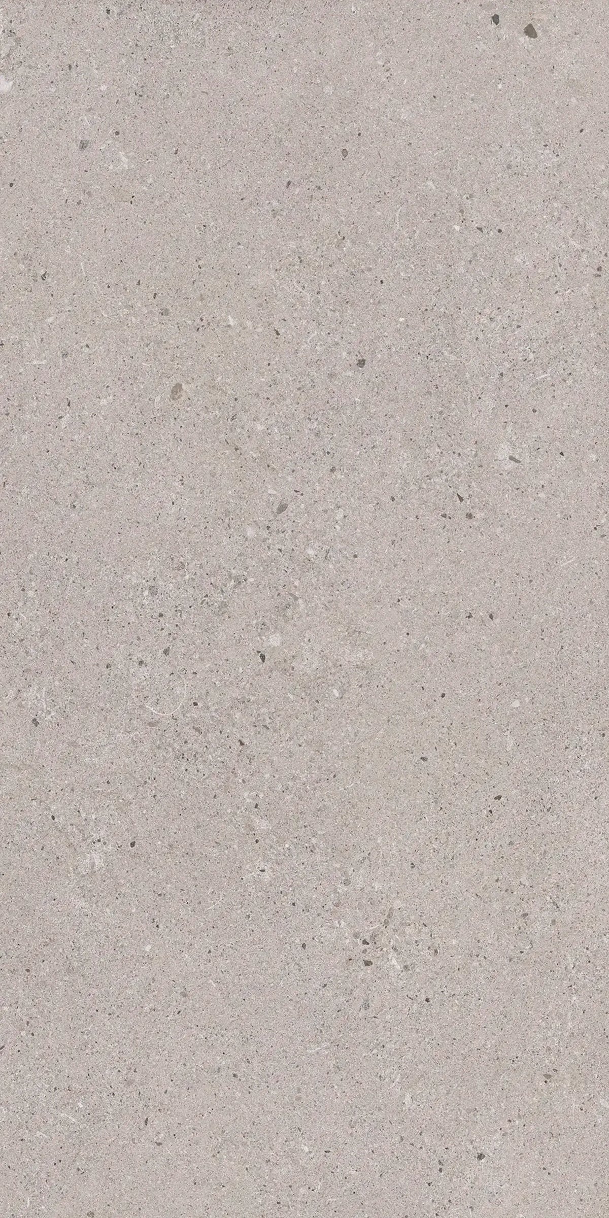 Concreta Concrete-Look Porcelain Tile Gris