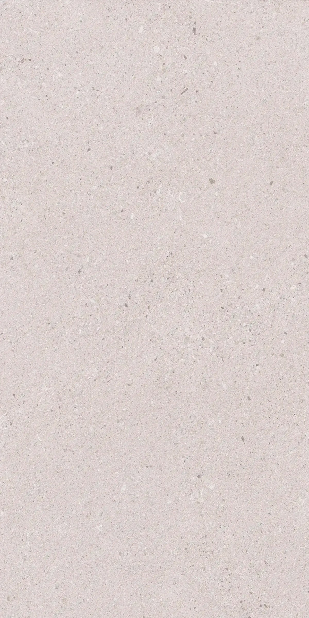 Concreta Concrete-Look Porcelain Tile Ivory