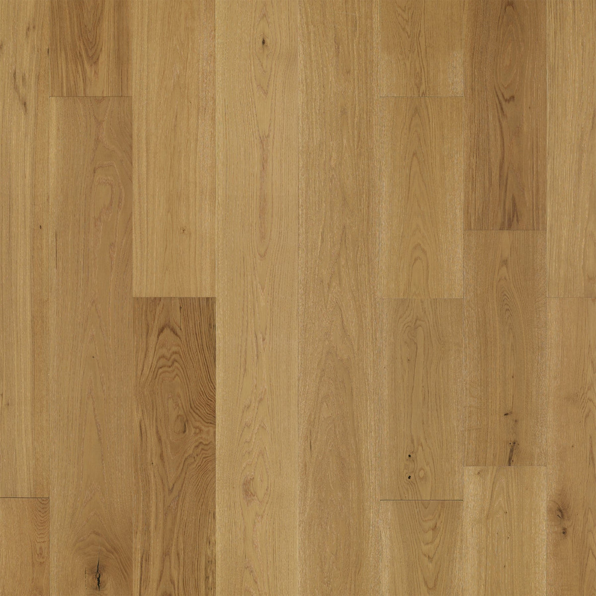Rio Douro French Oak Engineered Hardwood Flooring – 5/8" x 8-1– 4 mm Wear Layer