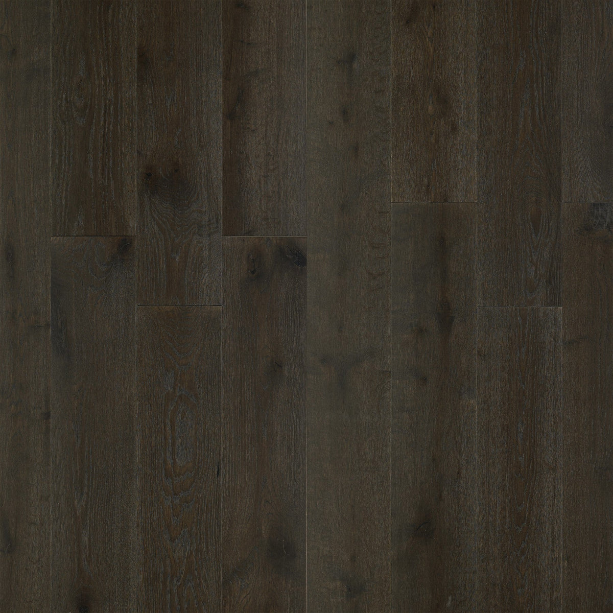 Rio Mondego French Oak Engineered Hardwood Flooring – 5/8" x 8-1/2" RL up to 87" – 4 mm Wear Layer