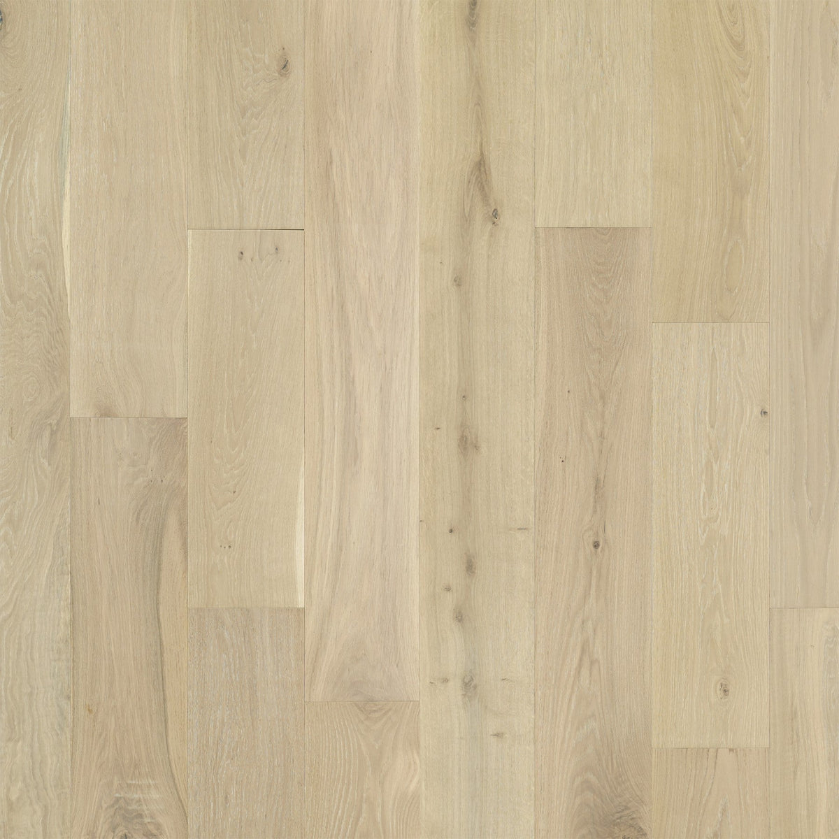 Rio Sado French Oak Engineered Hardwood Flooring – 5/8" x 8-1/2" – 4 mm Wear Layer