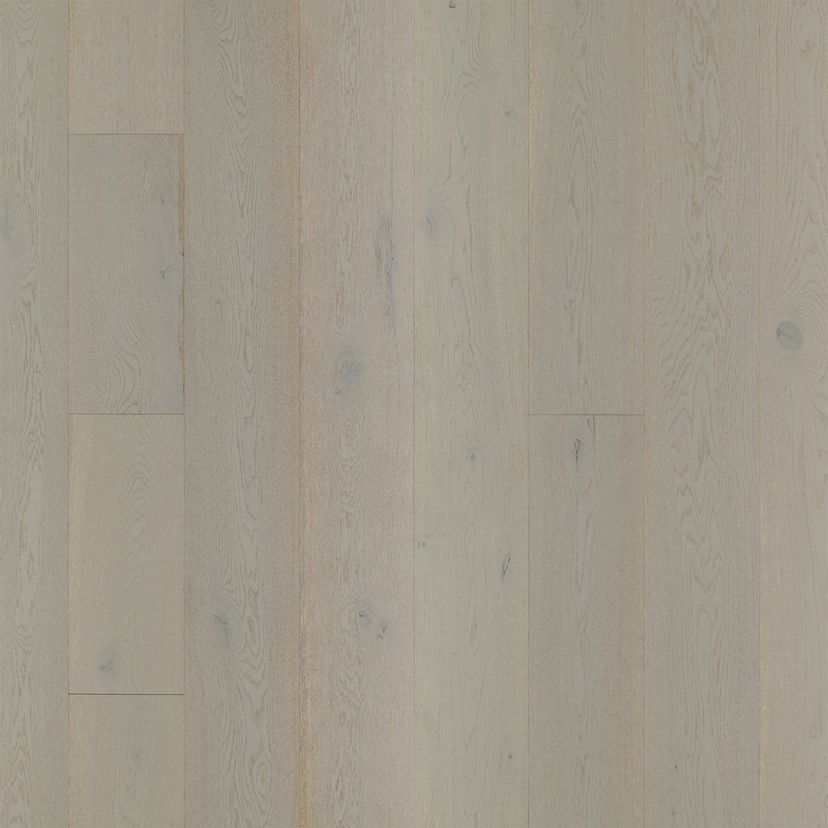 Rio Tua French Oak Engineered Hardwood Flooring – 5/8" x 8-1/2"– 4 mm Wear Layer